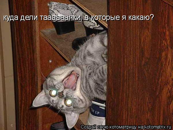 куда дели таааааапки, в которые я какаю? куда дели таааааапки, в которые я какаю?... Котоматрица: куда дели таааааапки, в которые я какаю? куда дели таааааапки, в которые я какаю?