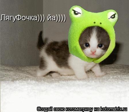 ЛягуФочка))) йа))))... Котоматрица: ЛягуФочка))) йа))))