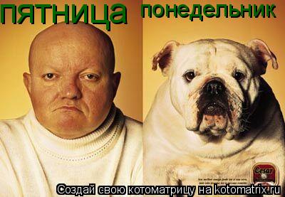 пятница понедельник... Котоматрица: пятница понедельник