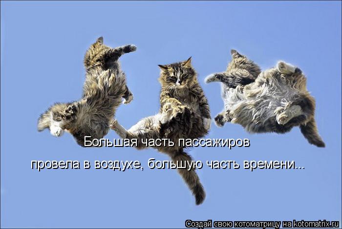 Большая часть пассажиров провела в воздухе, большую часть времени...... Котоматрица: Большая часть пассажиров провела в воздухе, большую часть времени...