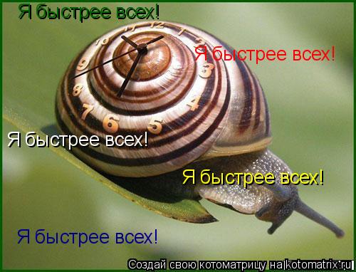 Я быстрее всех! Я быстрее всех! Я быстрее всех! Я быстрее всех! Я быстрее всех!... Котоматрица: Я быстрее всех! Я быстрее всех! Я быстрее всех! Я быстрее всех! Я быстрее всех!