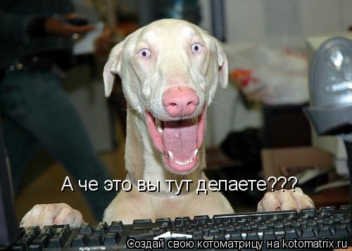 А че это вы тут делаете???... Котоматрица: А че это вы тут делаете???