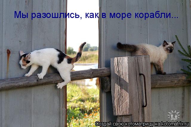Мы разошлись, как в море корабли...... Котоматрица: Мы разошлись, как в море корабли...