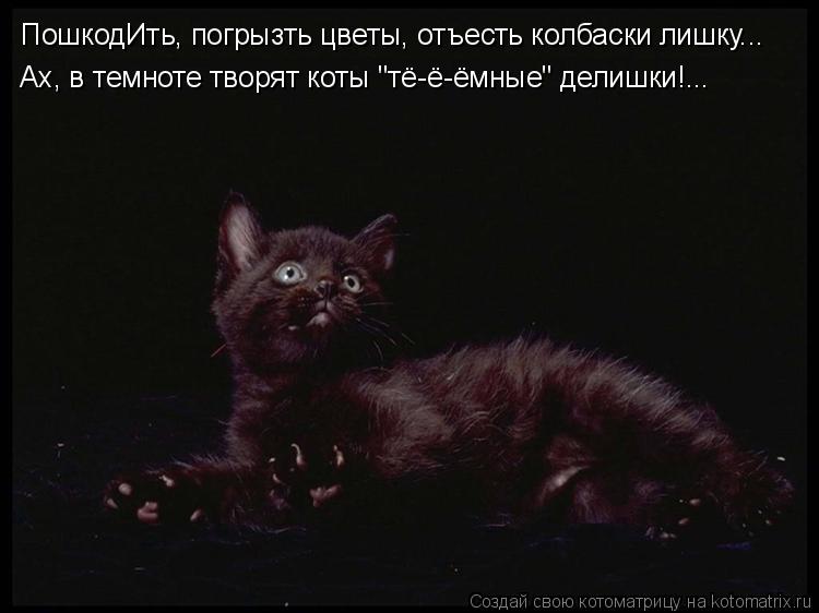 ПошкодИть, погрызть цветы, отъесть колбаски лишку... Ах, в темноте творят коты "тё-ё-ёмные" делишки!.... Котоматрица: ПошкодИть, погрызть цветы, отъесть колбаски лишку... Ах, в темноте творят коты "тё-ё-ёмные" делишки!...