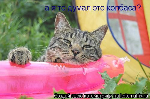 а я то думал это колбаса?... Котоматрица: а я то думал это колбаса?