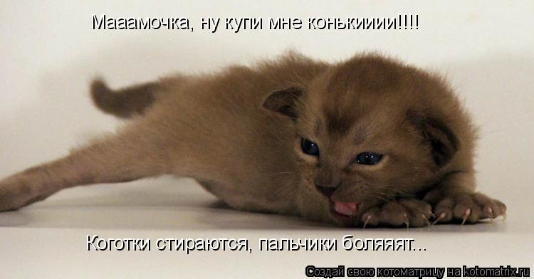 Мааамочка, ну купи мне конькииии!!!! Коготки стираются, пальчики боляяят...... Котоматрица: Мааамочка, ну купи мне конькииии!!!! Коготки стираются, пальчики боляяят...