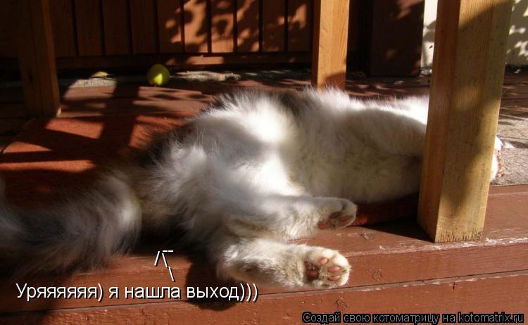 Уряяяяяя) я нашла выход))) -- /... Котоматрица: Уряяяяяя) я нашла выход))) -- /