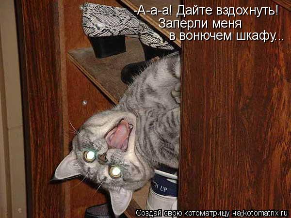 -А-а-а! Дайте вздохнуть! Заперли меня в вонючем шкафу...... Котоматрица: -А-а-а! Дайте вздохнуть! Заперли меня в вонючем шкафу...