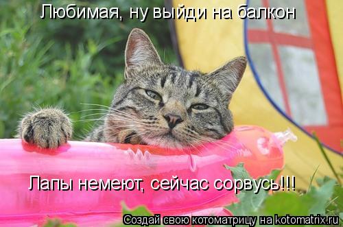 Любимая, ну выйди на балкон Лапы немеют, сейчас сорвусь!!!... Котоматрица: Любимая, ну выйди на балкон Лапы немеют, сейчас сорвусь!!!