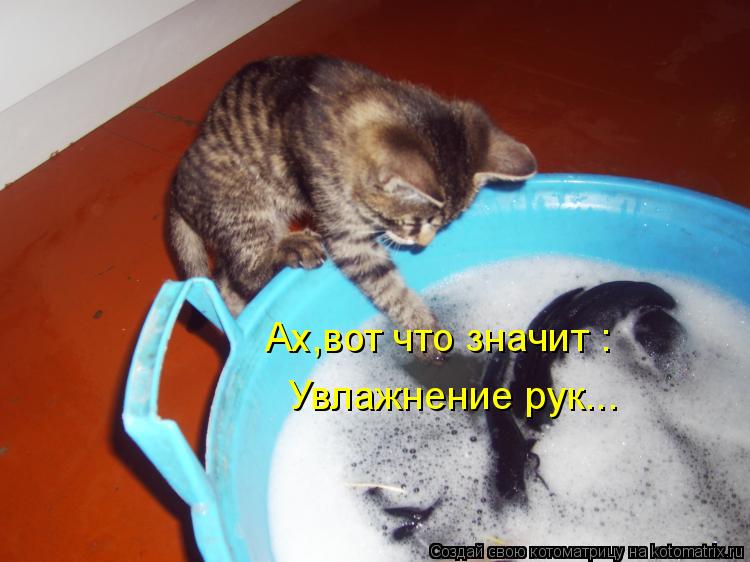 Ах,вот что значит : Увлажнение рук...... Котоматрица: Ах,вот что значит : Увлажнение рук...
