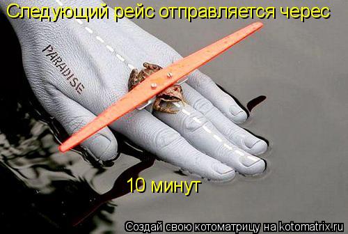 Следующий рейс отправляется черес 10 минут... Котоматрица: Следующий рейс отправляется черес 10 минут