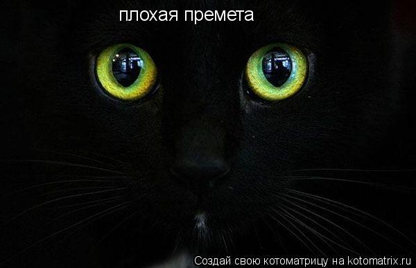 плохая премета... Котоматрица: плохая премета