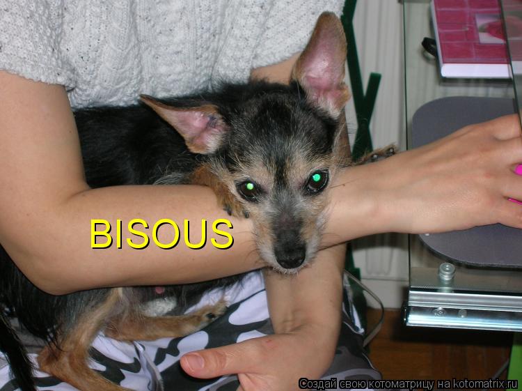 BISOUS... Котоматрица: BISOUS