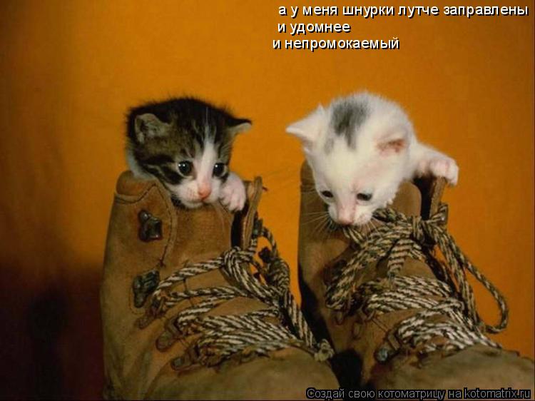 а у меня шнурки лутче заправлены и удомнее и непромокаемый... Котоматрица: а у меня шнурки лутче заправлены и удомнее и непромокаемый