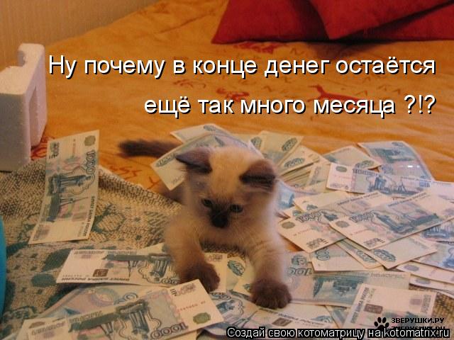 Ну почему в конце денег остаётся ещё так много месяца ?!?... Котоматрица: Ну почему в конце денег остаётся ещё так много месяца ?!?
