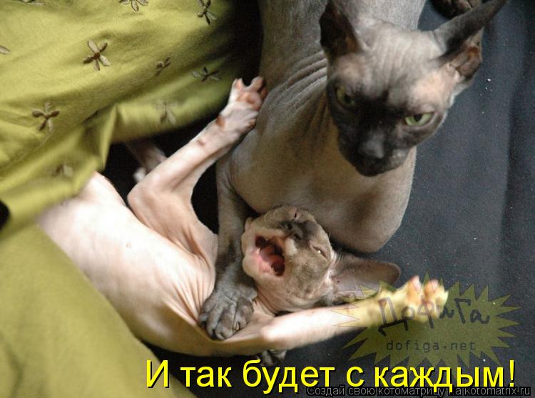 И так будет с каждым!... Котоматрица: И так будет с каждым!
