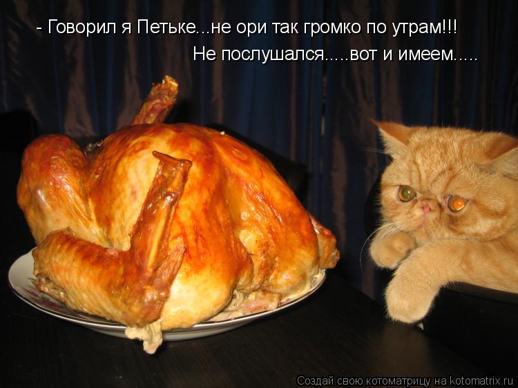 - Говорил я Петьке...не ори так громко по утрам!!! Не послушался.....вот и имеем........ Котоматрица: - Говорил я Петьке...не ори так громко по утрам!!! Не послушался.....вот и имеем.....