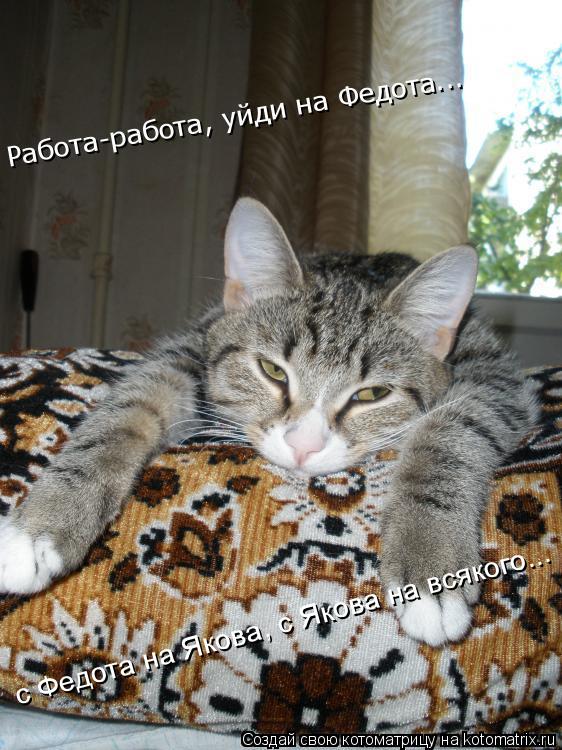 с Федота на Якова, с Якова на всякого...... Котоматрица: с Федота на Якова, с Якова на всякого...