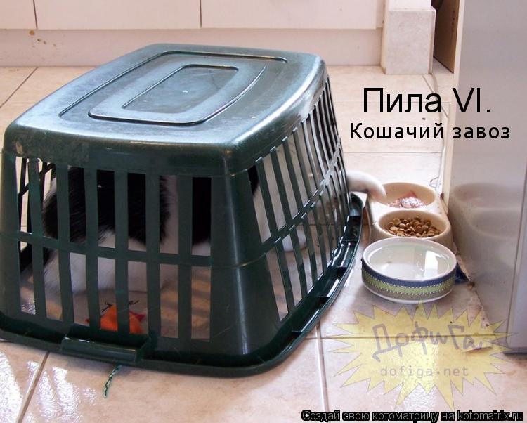 Пила VI. Кошачий завоз... Котоматрица: Пила VI. Кошачий завоз