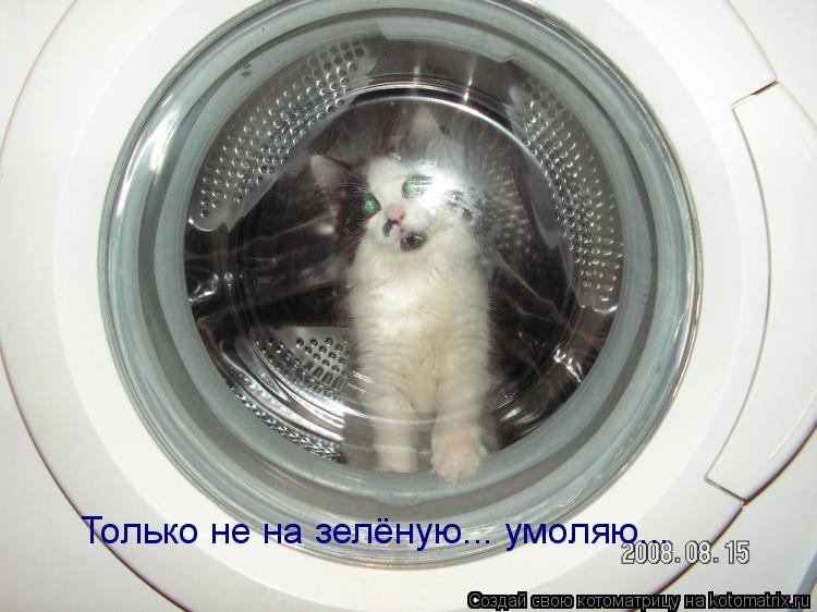 Только не на зелёную... умоляю...... Котоматрица: Только не на зелёную... умоляю...