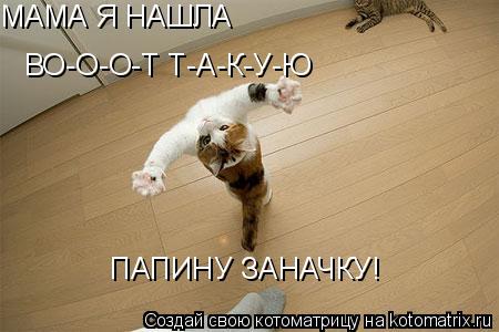 МАМА Я НАШЛА ВО-О-О-Т Т-А-К-У-Ю ПАПИНУ ЗАНАЧКУ!... Котоматрица: МАМА Я НАШЛА ВО-О-О-Т Т-А-К-У-Ю ПАПИНУ ЗАНАЧКУ!