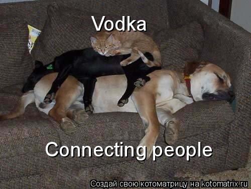 Vodka Connecting people... Котоматрица: Vodka Connecting people