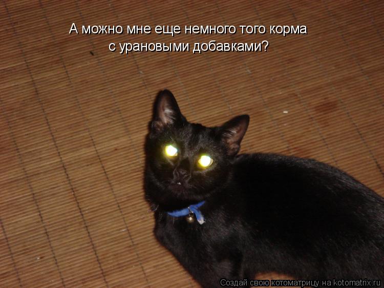 А можно мне еще немного того корма с урановыми добавками?... Котоматрица: А можно мне еще немного того корма с урановыми добавками?