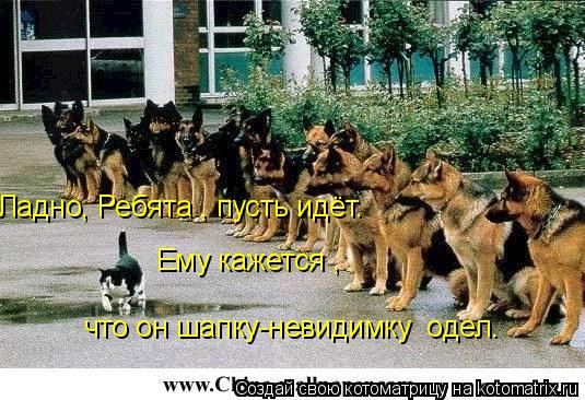 Ему кажется , Ладно, Ребята , пусть идёт. что он шапку-невидимку одел.... Котоматрица: Ему кажется , Ладно, Ребята , пусть идёт. что он шапку-невидимку одел.