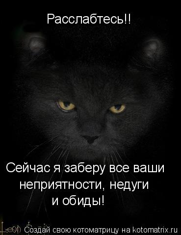 Расслабтесь!! Сейчас я заберу все ваши неприятности, недуги и обиды!... Котоматрица: Расслабтесь!! Сейчас я заберу все ваши неприятности, недуги и обиды!