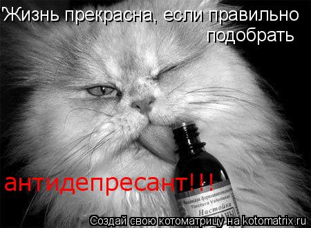 "Жизнь прекрасна, если правильно подобрать антидепресант!!!... Котоматрица: "Жизнь прекрасна, если правильно подобрать антидепресант!!!
