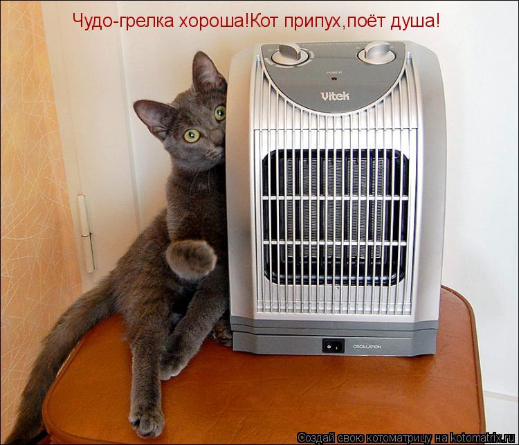 Чудо-грелка хороша!Кот припух,поёт душа!... Котоматрица: Чудо-грелка хороша!Кот припух,поёт душа!