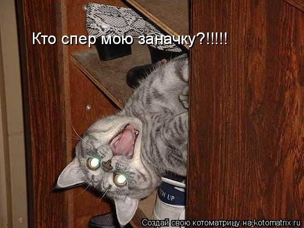 Кто спер мою заначку?!!!!!... Котоматрица: Кто спер мою заначку?!!!!!