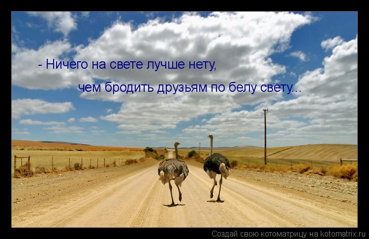 чем бродить друзьям по белу свету... - Ничего на свете лучше нету,... Котоматрица: чем бродить друзьям по белу свету... - Ничего на свете лучше нету,