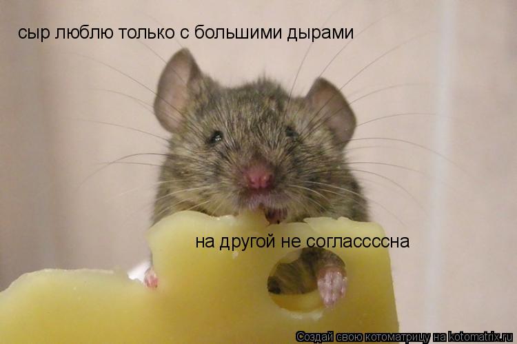 сыр люблю только с большими дырами на другой не соглассссна... Котоматрица: сыр люблю только с большими дырами на другой не соглассссна