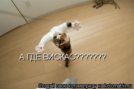 А ГДЕ ВИСКАС???????... Котоматрица: А ГДЕ ВИСКАС???????