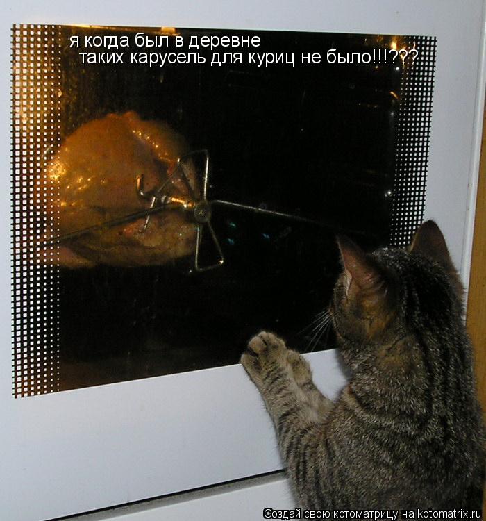 я когда был в деревне таких карусель для куриц не было!!!???... Котоматрица: я когда был в деревне таких карусель для куриц не было!!!???