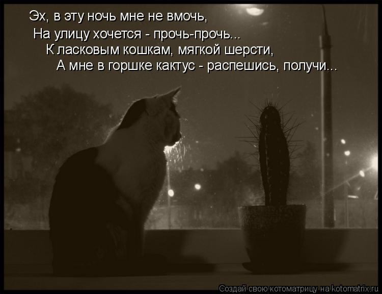 Эх, в эту ночь мне не вмочь, На улицу хочется - прочь-прочь... К ласковым кошкам, мягкой шерсти, А мн... Котоматрица: Эх, в эту ночь мне не вмочь, На улицу хочется - прочь-прочь... К ласковым кошкам, мягкой шерсти, А мне в горшке кактус - распешись, получи...