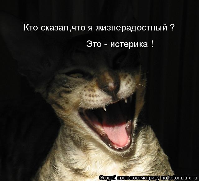 Кто сказал,что я жизнерадостный ? Это - истерика !... Котоматрица: Кто сказал,что я жизнерадостный ? Это - истерика !