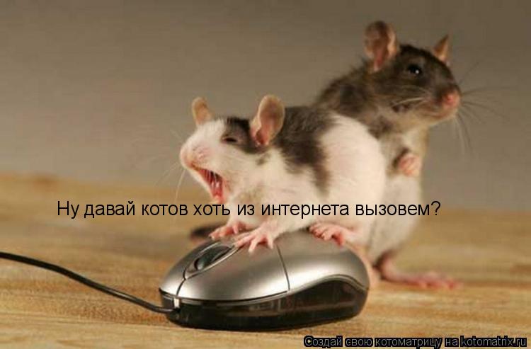 Ну давай котов хоть из интернета вызовем?... Котоматрица: Ну давай котов хоть из интернета вызовем?