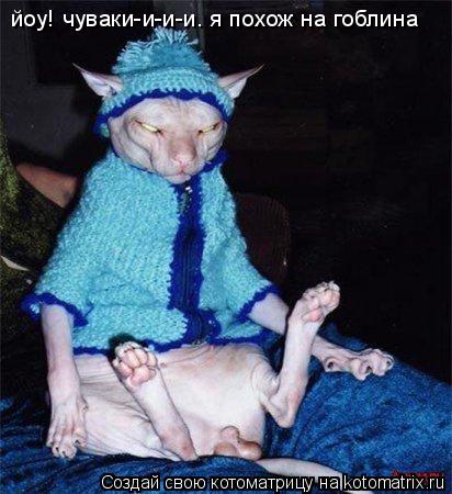 йоу! чуваки-и-и-и. я похож на гоблина... Котоматрица: йоу! чуваки-и-и-и. я похож на гоблина