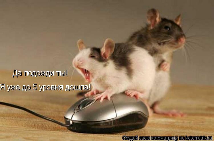 Да подожди ты! Я уже до 5 уровня дошла!... Котоматрица: Да подожди ты! Я уже до 5 уровня дошла!