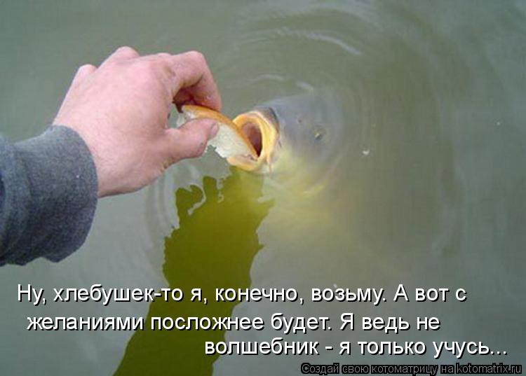 волшебник - я только учусь... желаниями посложнее будет. Я ведь не Ну, хлебушек-то я, конечно, возьму... Котоматрица: волшебник - я только учусь... желаниями посложнее будет. Я ведь не Ну, хлебушек-то я, конечно, возьму. А вот с