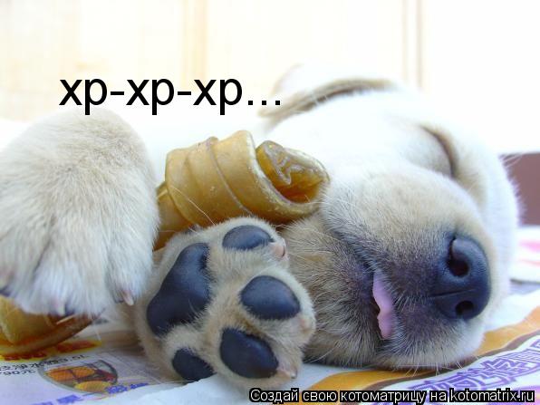 xp-xp-xp...... Котоматрица: xp-xp-xp...