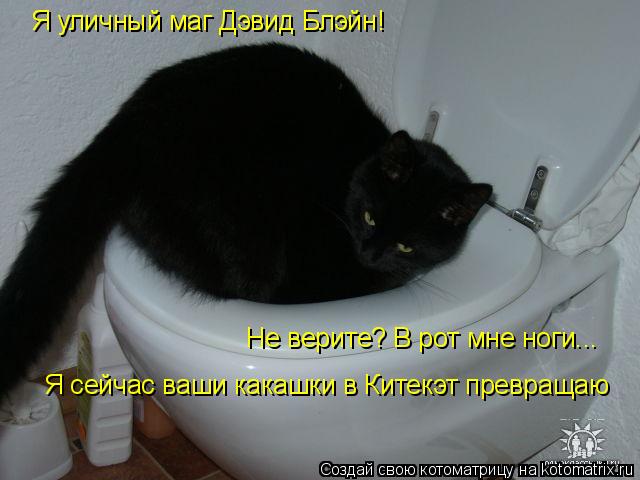 Я уличный маг Дэвид Блэйн! Не верите? В рот мне ноги... Я сейчас ваши какашки в Китекэт превращаю... Котоматрица: Я уличный маг Дэвид Блэйн! Не верите? В рот мне ноги... Я сейчас ваши какашки в Китекэт превращаю