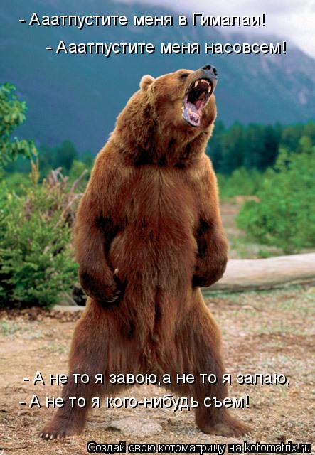 - Ааатпустите меня в Гималаи! - Ааатпустите меня насовсем! - А не то я завою,а не то я залаю, - А не ... Котоматрица: - Ааатпустите меня в Гималаи! - Ааатпустите меня насовсем! - А не то я завою,а не то я залаю, - А не то я кого-нибудь съем!