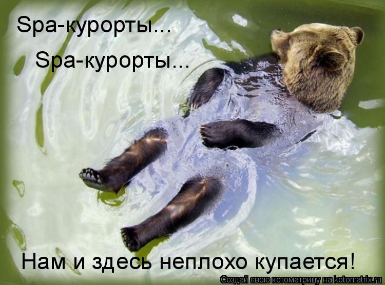 Нам и здесь неплохо купается! Spa-курорты... Spa-курорты...... Котоматрица: Нам и здесь неплохо купается! Spa-курорты... Spa-курорты...