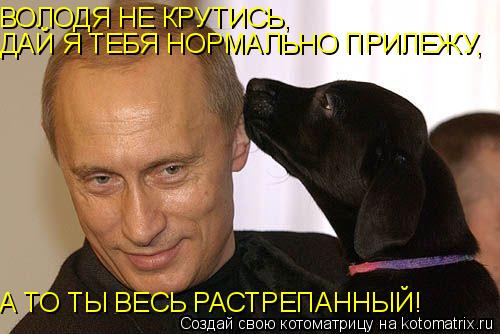 ВОЛОДЯ НЕ КРУТИСЬ, ДАЙ Я ТЕБЯ НОРМАЛЬНО ПРИЛЕЖУ, А ТО ТЫ ВЕСЬ РАСТРЕПАННЫЙ!... Котоматрица: ВОЛОДЯ НЕ КРУТИСЬ, ДАЙ Я ТЕБЯ НОРМАЛЬНО ПРИЛЕЖУ, А ТО ТЫ ВЕСЬ РАСТРЕПАННЫЙ!