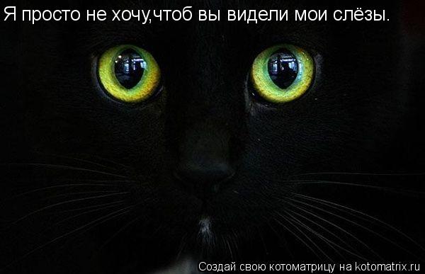 Я просто не хочу,чтоб вы видели мои слёзы.... Котоматрица: Я просто не хочу,чтоб вы видели мои слёзы.