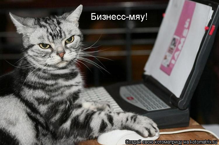 Бизнесс-мяу!... Котоматрица: Бизнесс-мяу!