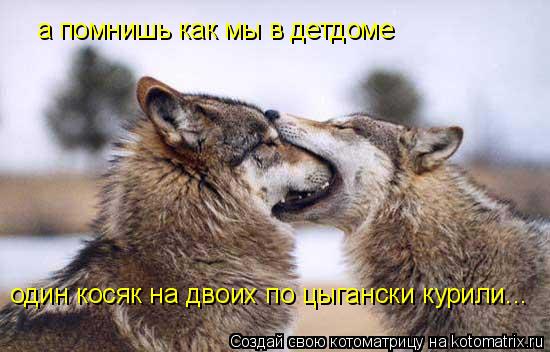 а помнишь как мы в детдоме один косяк на двоих по цыгански курили...... Котоматрица: а помнишь как мы в детдоме один косяк на двоих по цыгански курили...